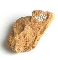 M 02645
<br/>
<br/>
<em></em>